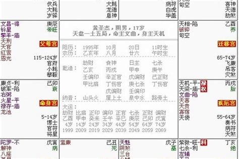 土五局婚姻|婚姻看法大全之二：论断夫妻关系、合婚与结婚年 – 紫微麥